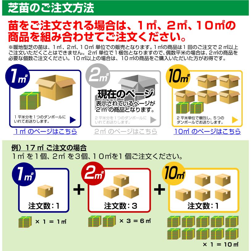 2平米 高麗芝 鳥取産 張り芝用 0.6坪分 プレミアム苗 暖地型 天然芝