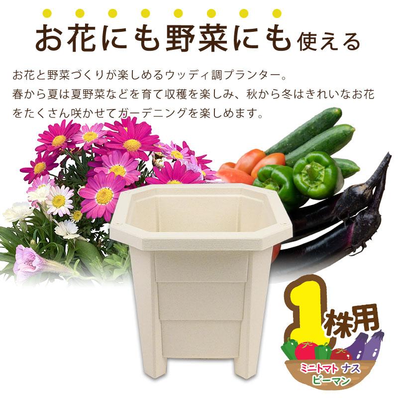 花と野菜のプランター スクエアー30cm ホワイト 2個セット 支柱
