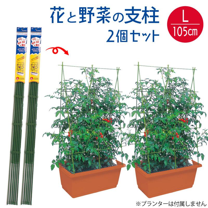 花と野菜の支柱 フック式留め具付き 組立式 Lサイズ 高さ105cm 家庭