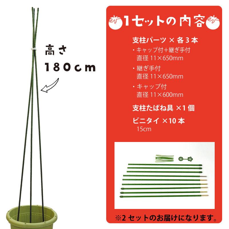 トマト支柱セット ビニタイ付き 組立式 高さ180cm 家庭菜園用 2個セット Ks N Mde649 2set 芝生のことならバロネスダイレクト 通販 Yahoo ショッピング