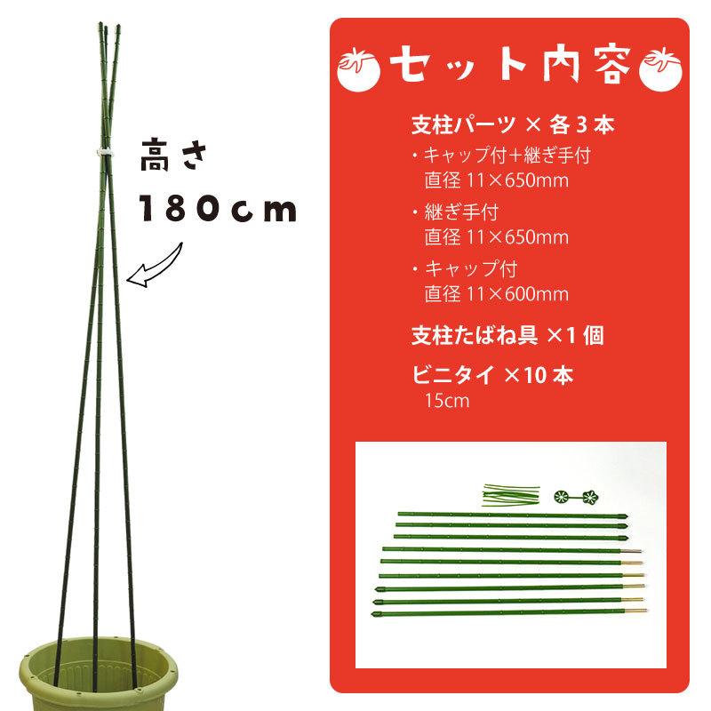トマト支柱セット ビニタイ付き 組立式 高さ180cm 家庭菜園用 : 芝生の