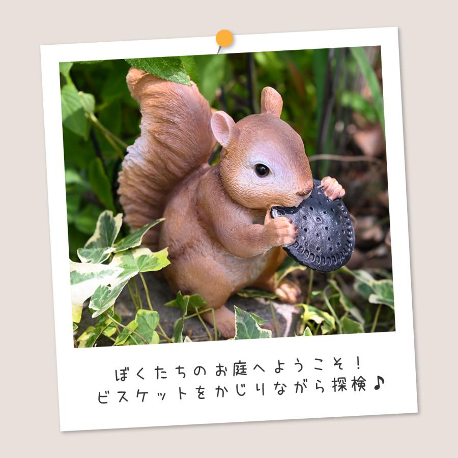 リス ビスケット 松ぼっくり オーナメント 2種セット 置物