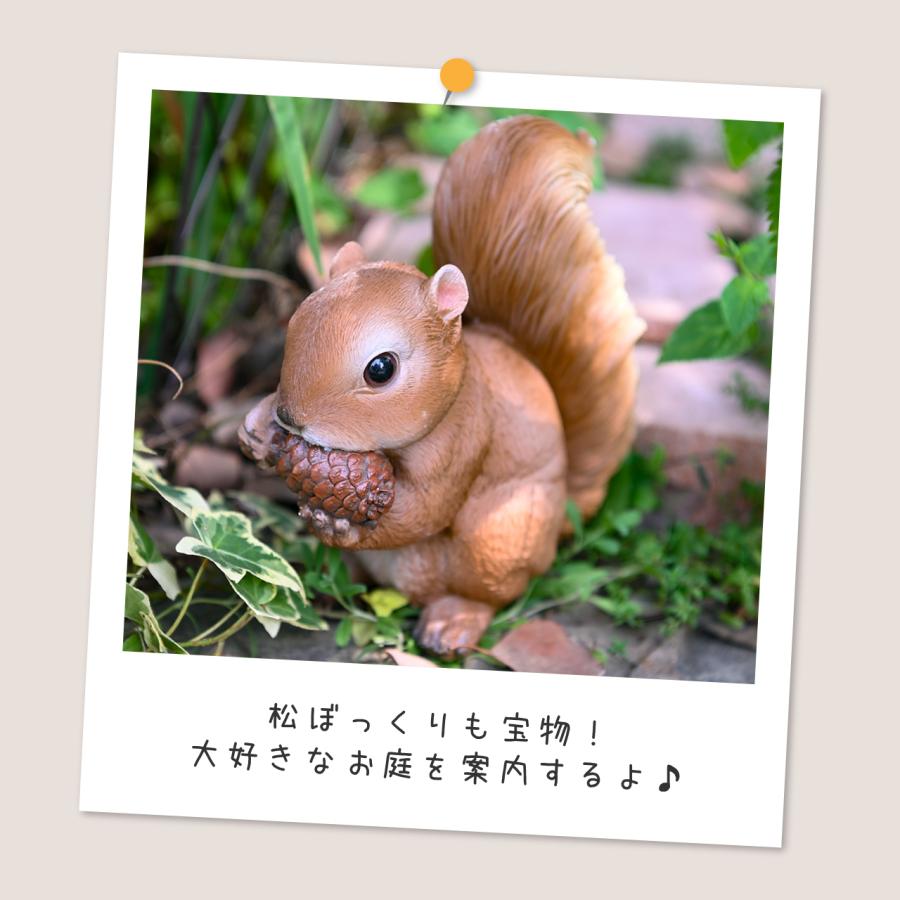 リス ビスケット 松ぼっくり オーナメント 2種セット 置物