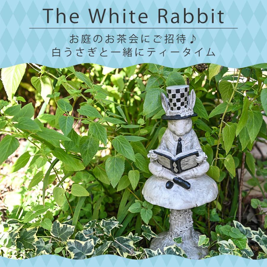 オーナメント ラビット BOOK アリス お茶会 うさぎ 置物 ディスプレイ