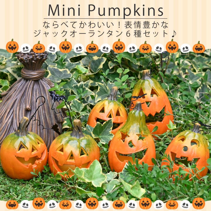 ハロウィン パンプキン 6種セット ジャックオーランタン かぼちゃ