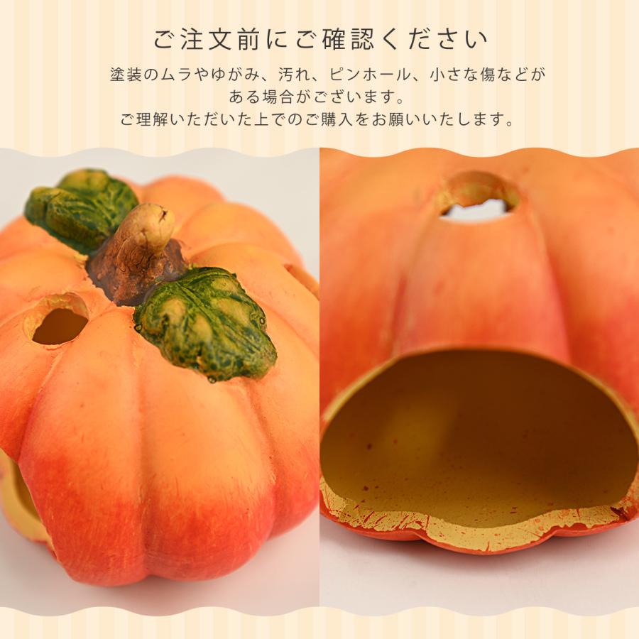 ハロウィン 黒猫＆パンプキンS セット 魔女帽子 コウモリマント