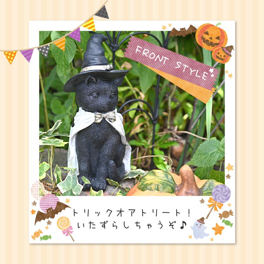 ハロウィン 黒猫＆パンプキンS セット 魔女帽子 コウモリマント
