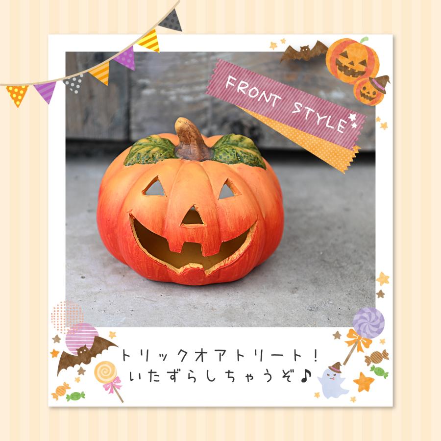 ハロウィン 黒猫＆パンプキンS セット 魔女帽子 コウモリマント