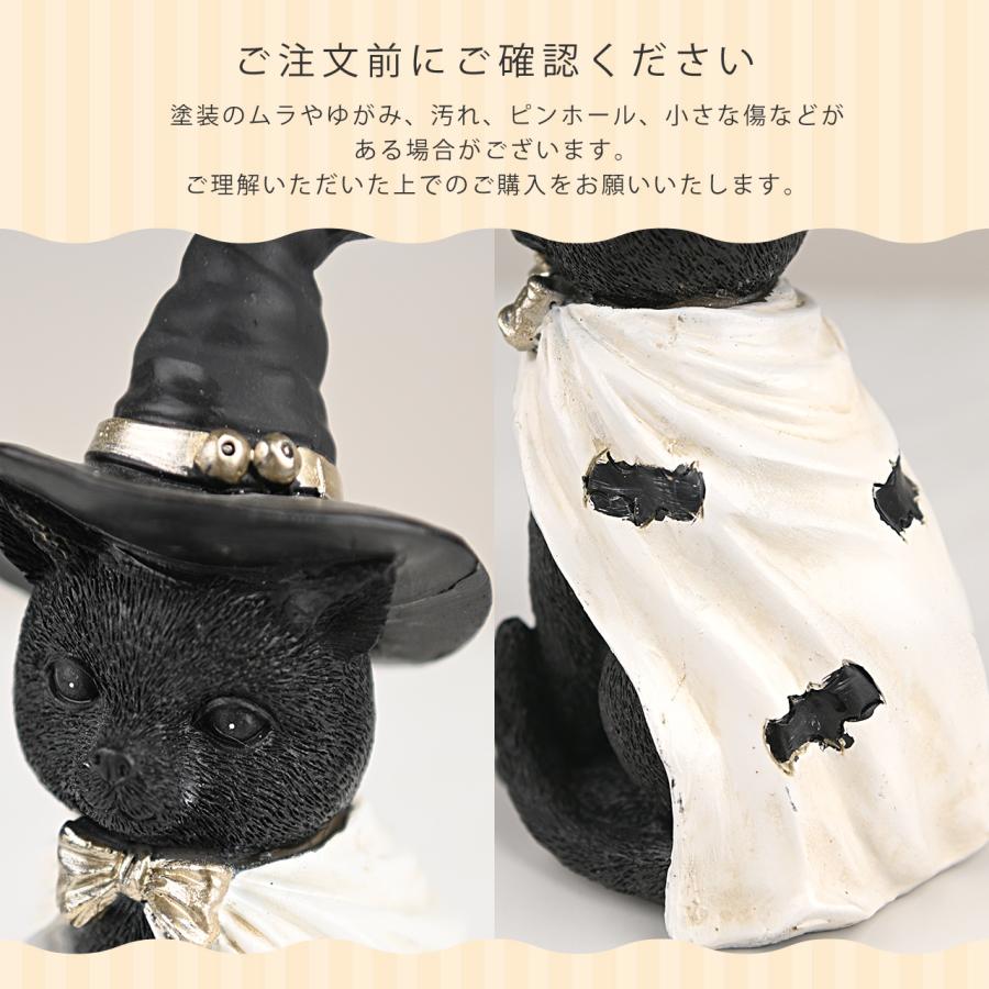 ハロウィン 黒猫＆パンプキンS セット 魔女帽子 コウモリマント