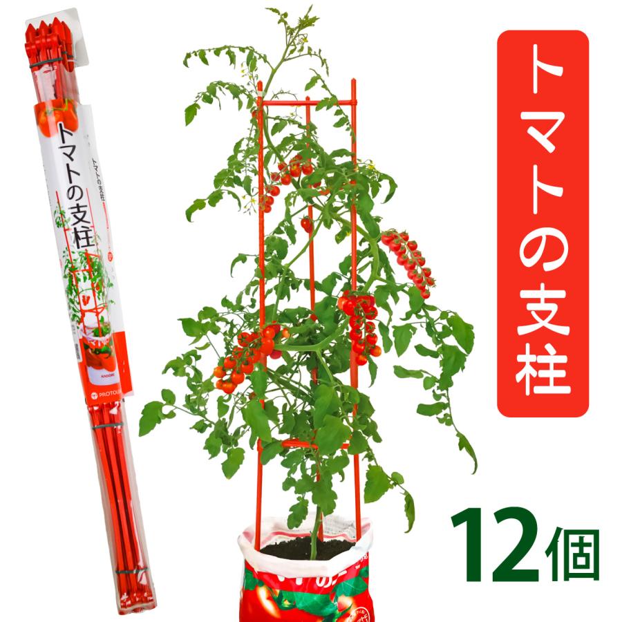 トマトページ❶ EASTBEE ダイス トマト 2500g ( 固形量 1500g / 1号缶 #1