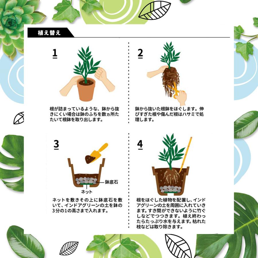 プロトリーフ BotaNice インドアグリーンの土 3.5L 1袋 観葉植物 多肉