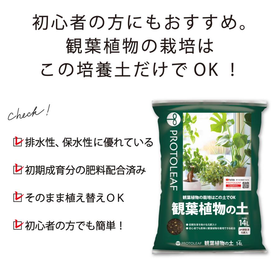 プロトリーフ 観葉植物の土 14L 1袋 培養土 用土 : 芝生のことなら