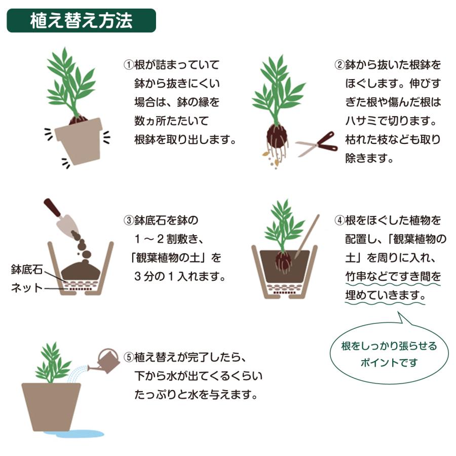 プロトリーフ 観葉植物の土 14L 1袋 培養土 用土 : 芝生のことなら