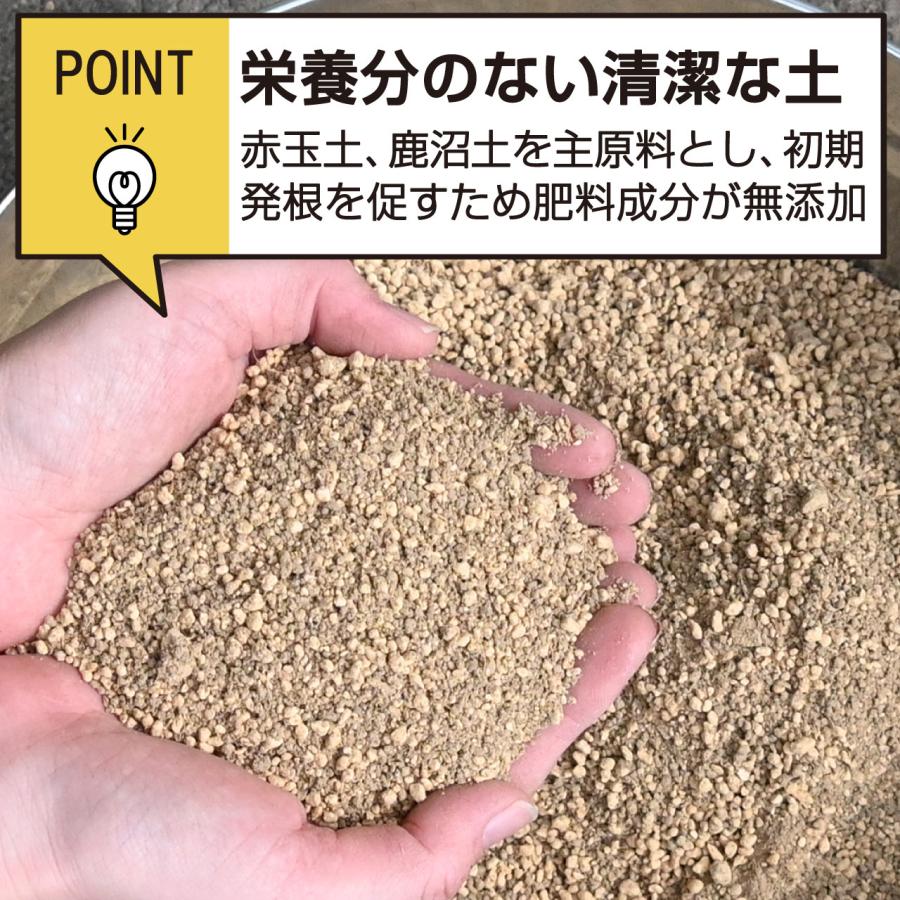 プロトリーフ さし芽・種まきの土 14L 3袋セット 育苗用培養土 用土
