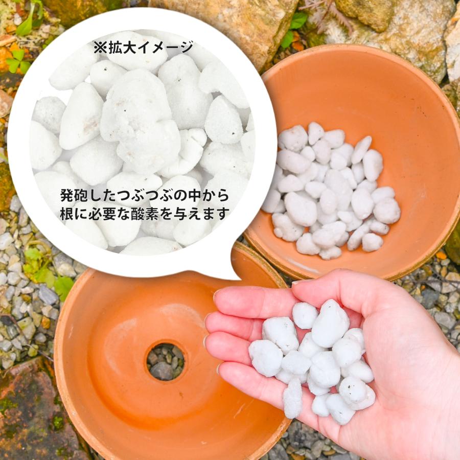 プロトリーフ かる〜い鉢底石 2L 1袋 軽い : 芝生のことならバロネス