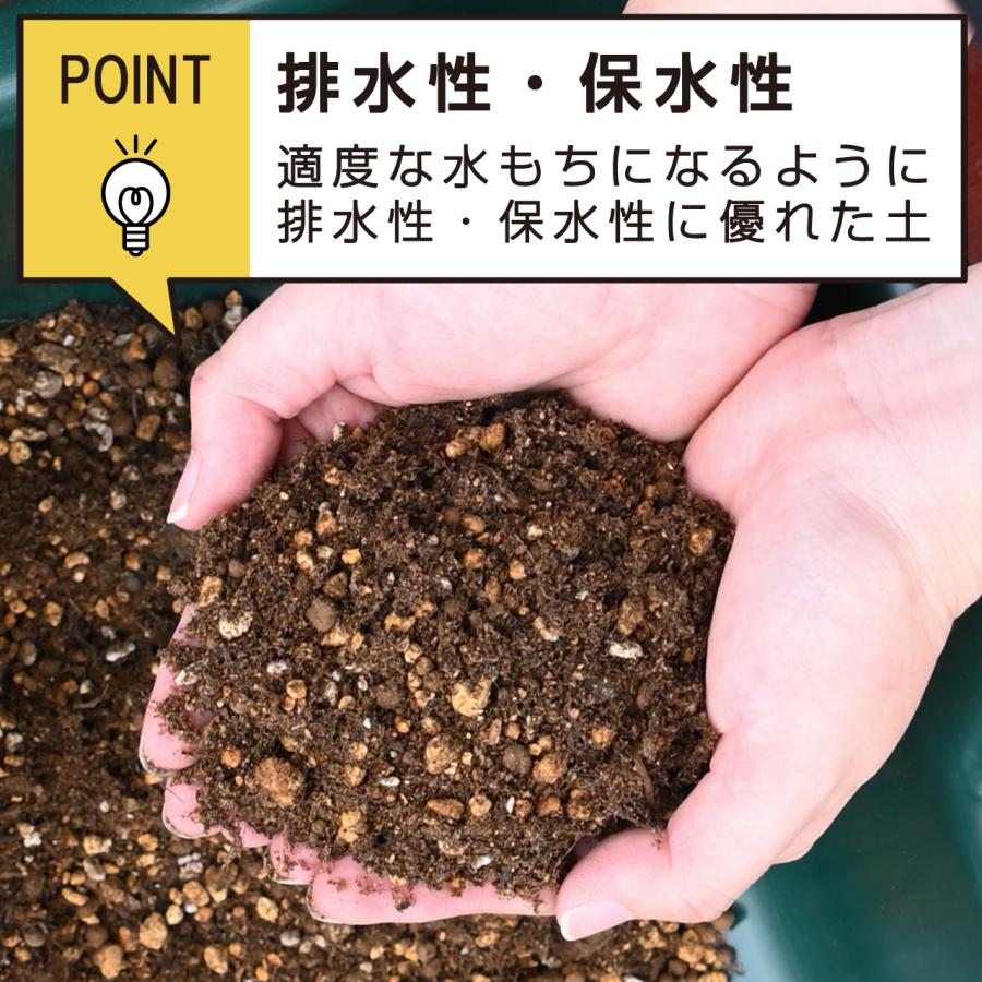 プロトリーフ サボテン・多肉植物の土 14L×2袋セット 培養土 用土