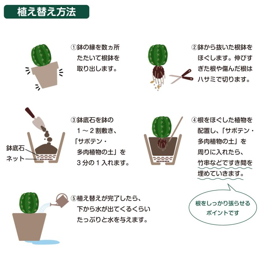 プロトリーフ サボテン・多肉植物の土 14L×2袋セット 培養土 用土