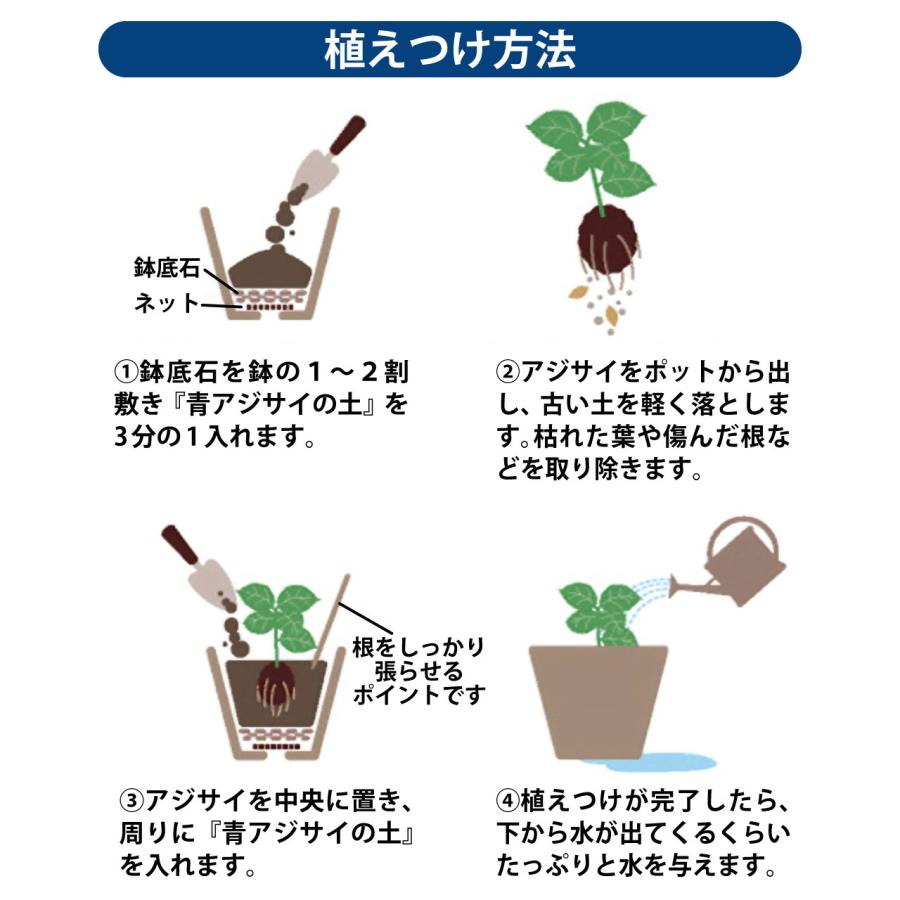 プロトリーフ 青アジサイの土 5L 1袋 発色剤入り pH調整済み 培養土