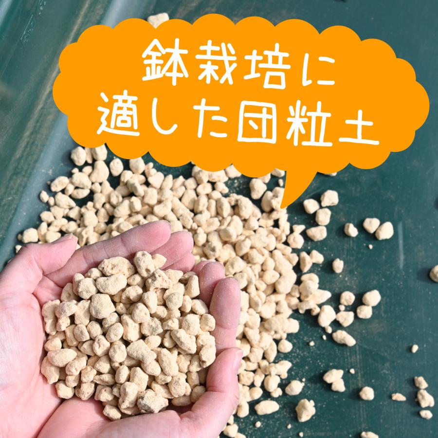 プロトリーフ 鹿沼土 5L 2袋セット 基本用土 まとめ買い : 芝生のこと