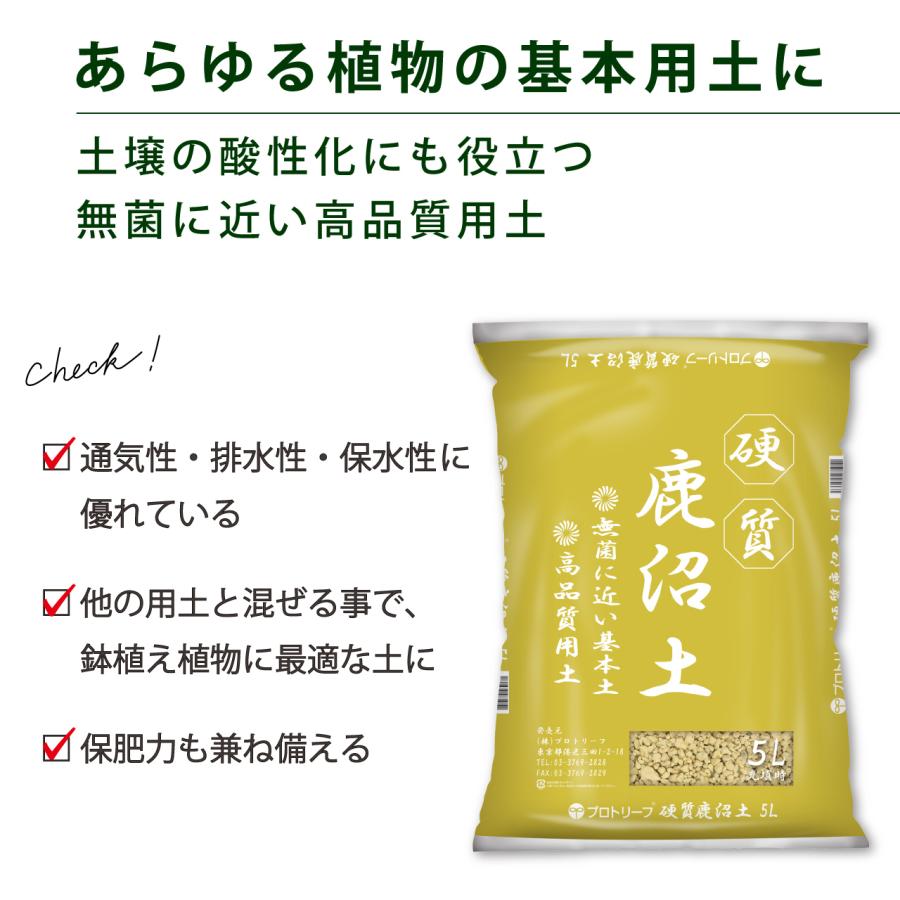 プロトリーフ 硬質 鹿沼土 5L 2袋セット 基本用土 まとめ買い : 芝生の