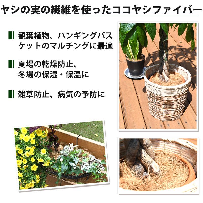 プロトリーフ ココヤシファイバー 100g 4袋セット ナチュラル マルチング材 装飾 ハンギング ガーデニング 園芸 観葉植物 |  | 01