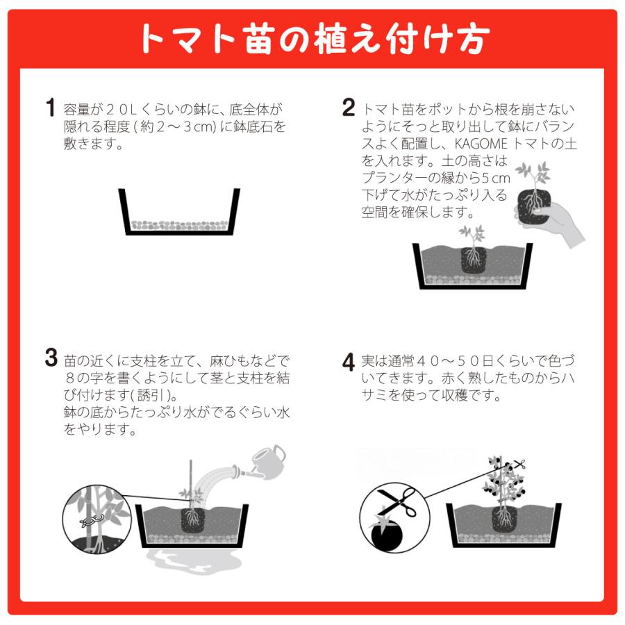 プロトリーフ カゴメ かる〜いトマトの土 20L 2袋セット 家庭菜園