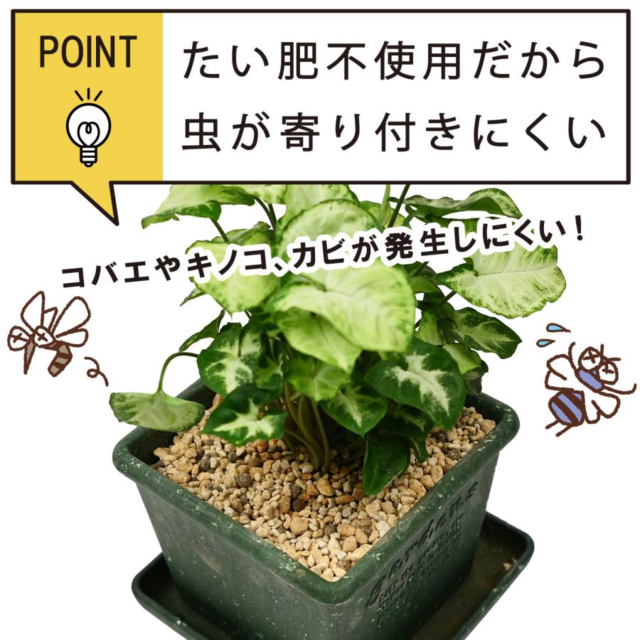 プロトリーフ 粒状かる〜い培養土 12L×5袋セット 元肥入り 用土 軽い