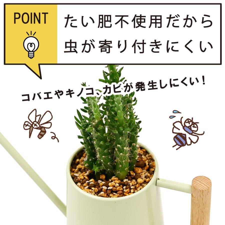 鉢物栽培技術マニュアル レチューザ植込みガイド Planter Pro Shop プランタープロショップ