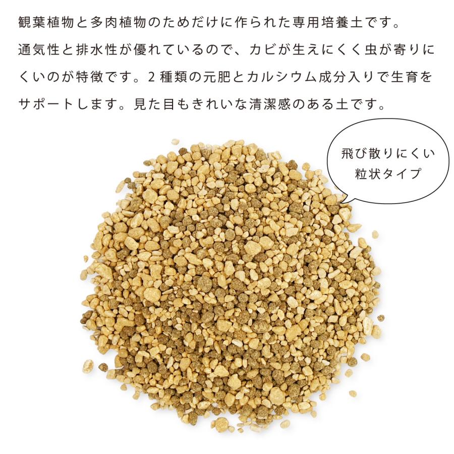 プロトリーフ 室内向け観葉・多肉の土10号鉢用 8.4L 用土 軽い 軽量