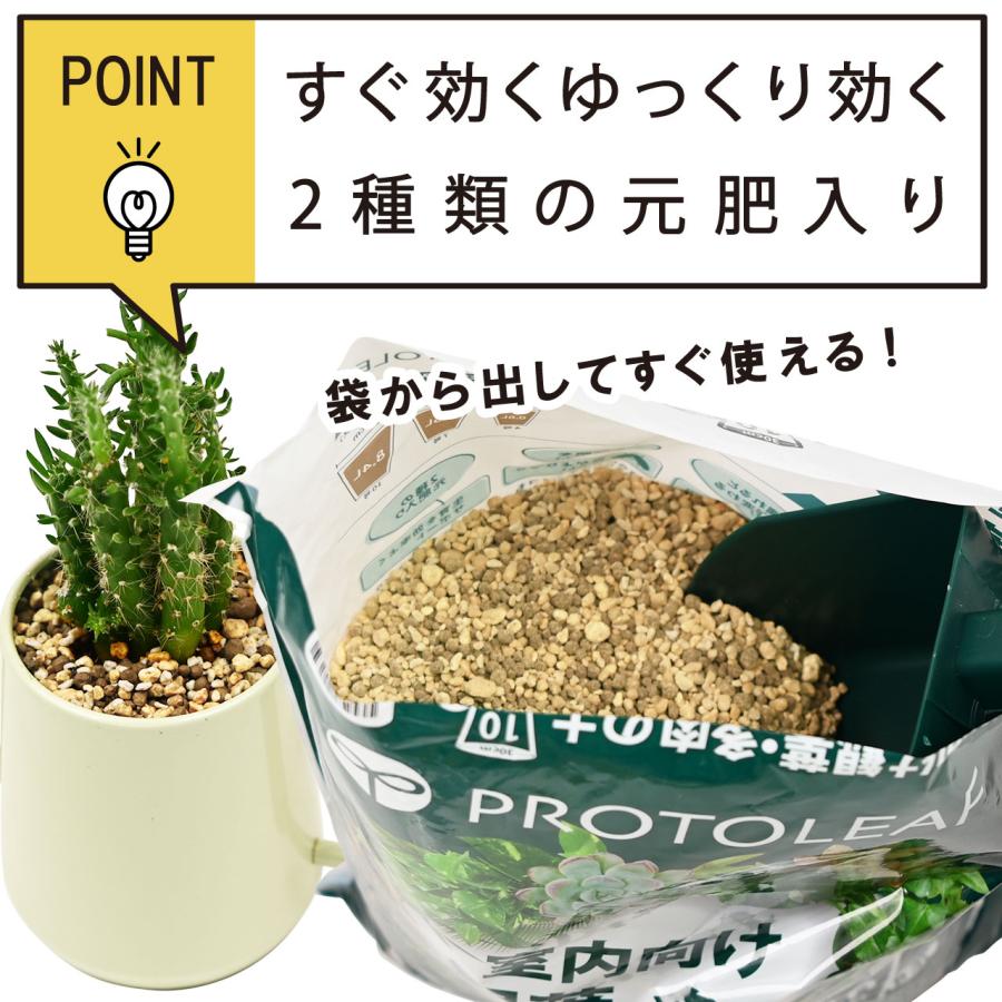 プロトリーフ 室内向け観葉・多肉の土10号鉢用 8.4L 用土 軽い 軽量