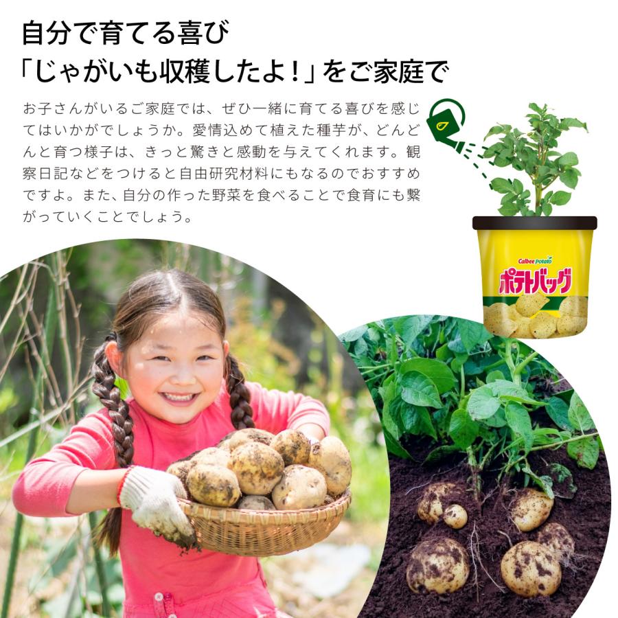 ポテト様　たんかん　8キロ dfca460d070d2427e59e360d8240e2