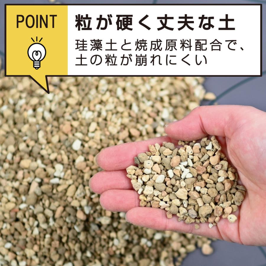 プロトリーフ 室内向け観葉・多肉の土 硬質 Premium 3.5L 2袋セット