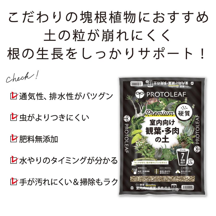 プロトリーフ 室内向け観葉・多肉の土 硬質 Premium 3.5L 1袋