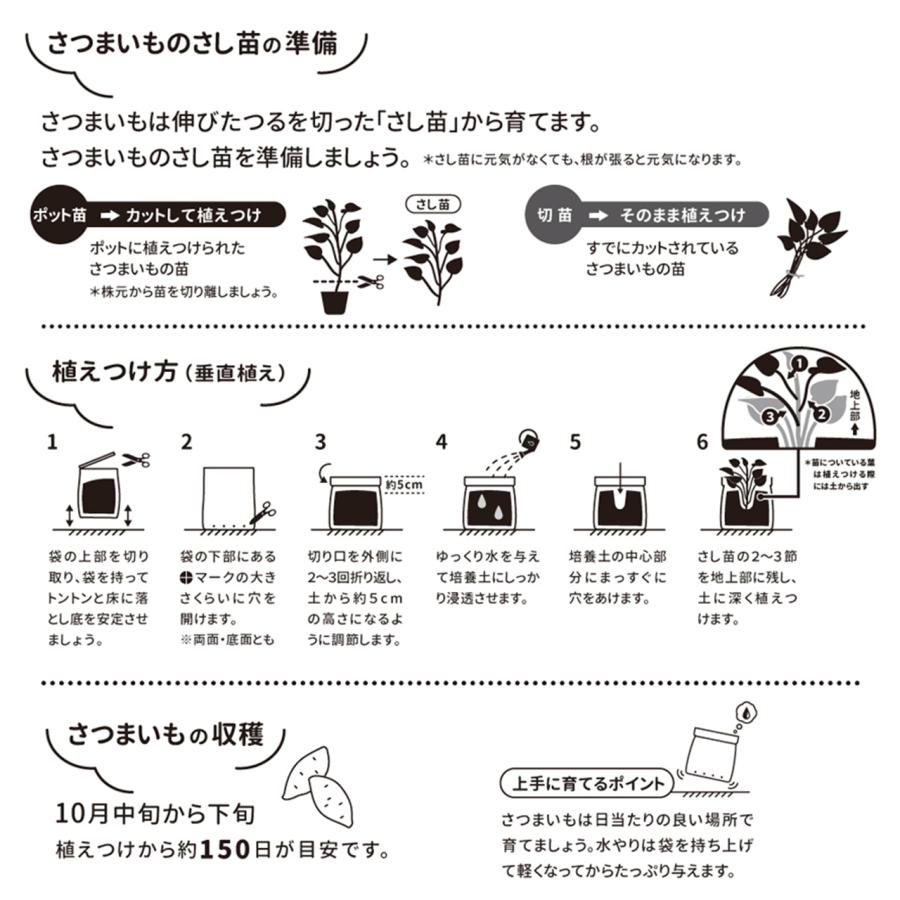 プロトリーフ さつまいもバッグ 袋で育てるおいもの土 カルビーか