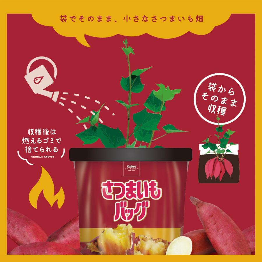 プロトリーフ さつまいもバッグ 袋で育てるおいもの土 カルビーか