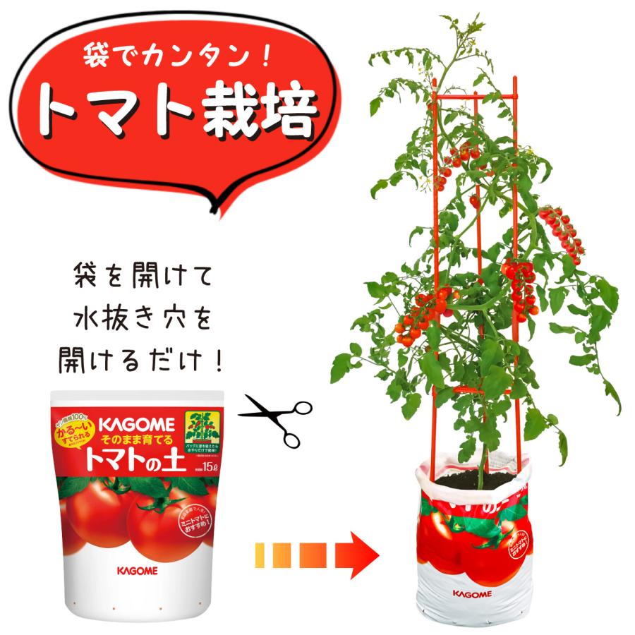 プロトリーフ トマトの土＆支柱 120cm 2セット 栽培セット あんどん