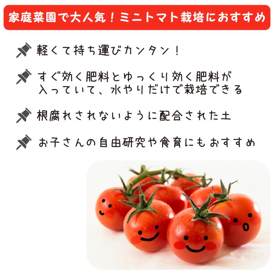 プロトリーフ トマトの土＆支柱 120cm 2セット 栽培セット あんどん