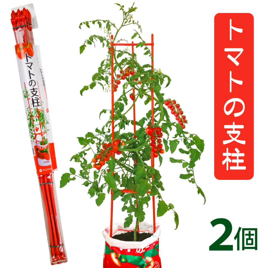 未使用 organic zoo トマト セット organic zoo - Tomato Classic T-shirt | UANDEL