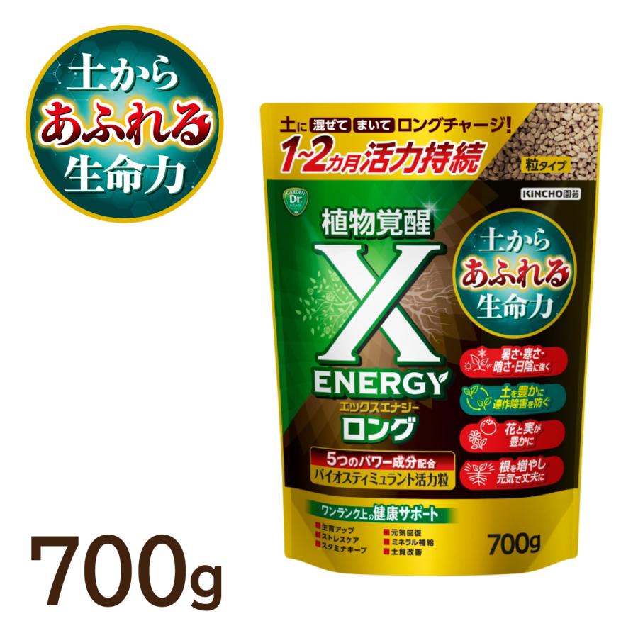 Benidai 芝生の種 ゼニゴケプラス エリオトロプラス　6個セット KINCHO園芸 X-ENERGY ロング 粒タイプ 700g 活性剤 バイオスティミュ
