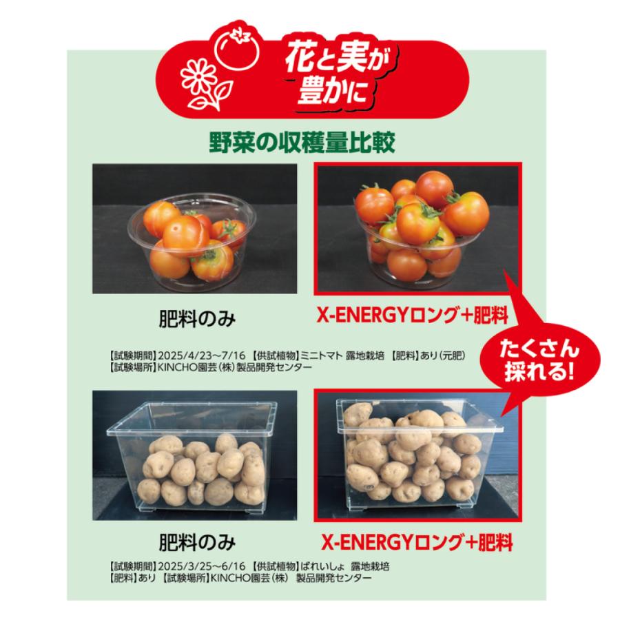 KINCHO園芸 X-ENERGY ロング 粒タイプ 700g 2袋セット 活性剤 バイオ