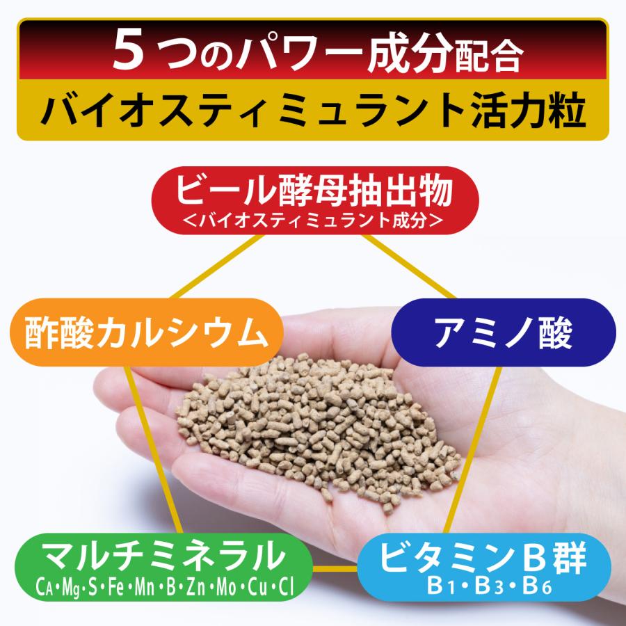 KINCHO園芸 X-ENERGY ロング 粒タイプ 700g 活性剤 バイオスティミュ