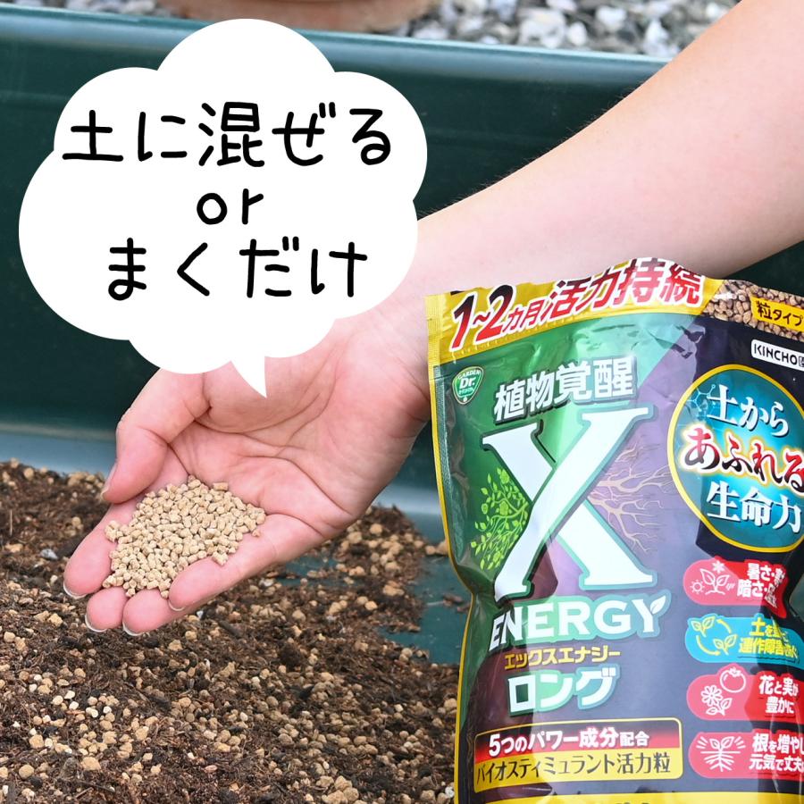 KINCHO園芸 X-ENERGY ロング 粒タイプ 700g 活性剤 バイオスティミュ
