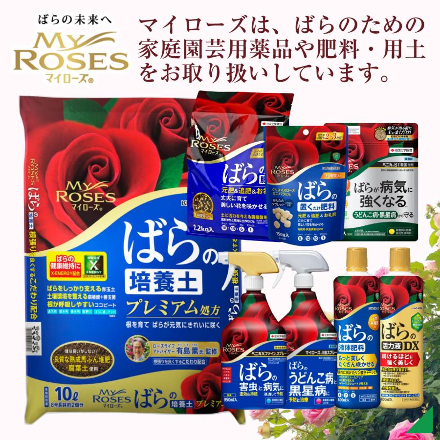 KINCHO園芸 住友化学園芸 殺菌剤 マイローズ殺菌スプレー 950ml 2本