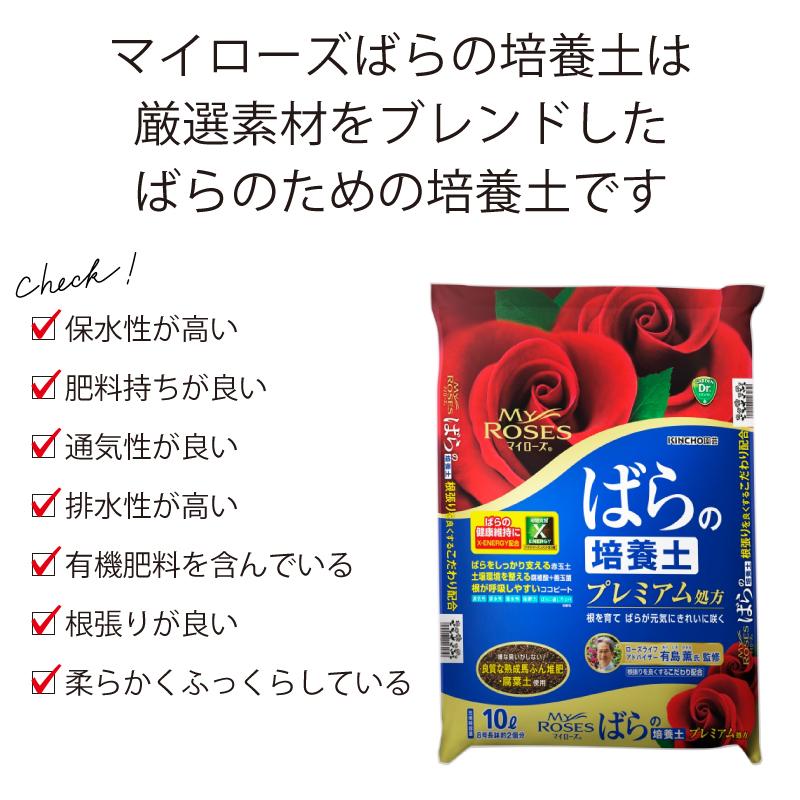 他の方発送×【薔薇】　肉質画 楽天市場】肉筆油彩画 薔薇 F10号 美術品 レプリカ : 光ネット組合