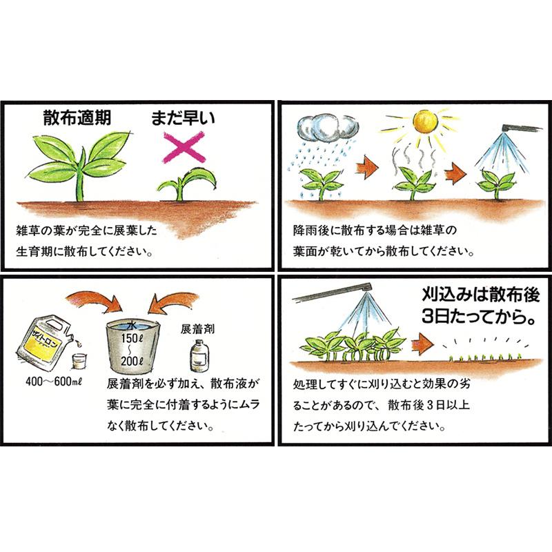 芝生用除草剤 ザイトロンアミン液剤 500ml 広葉雑草 :ks-zaitron:芝生のことならバロネスダイレクト - 通販 - Yahoo!ショッピング 芝生用除草剤 ザイトロンアミン液剤 500ml 広葉雑草 :ks-zaitron:芝生のことならバロネスダイレクト - 通販 - Yahoo!ショッピング