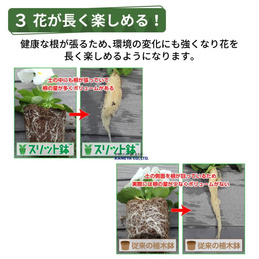 KANEYA スリット鉢 8号 直径24cm モスグリーン 4個セット プラスチック