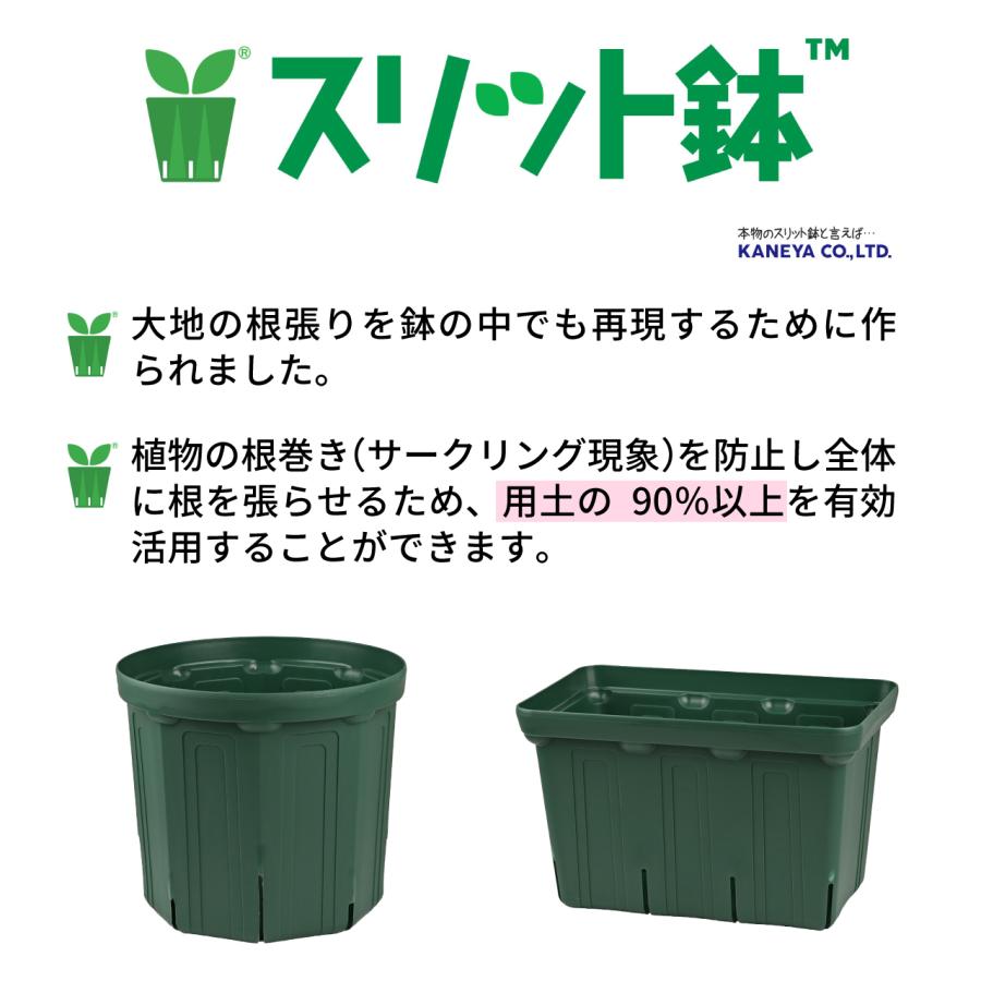 KANEYA スリット鉢 10号 直径30cm モスグリーン 12個セット 1ケース