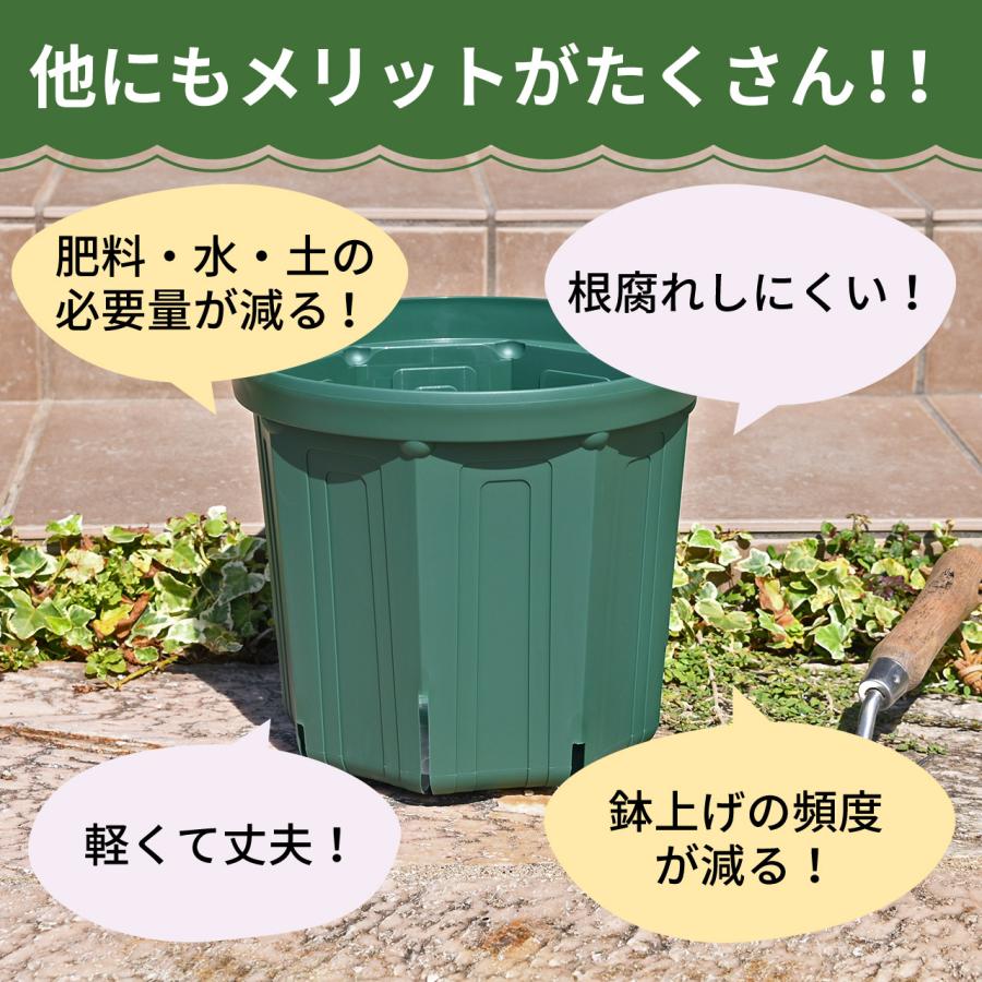 KANEYA スリット鉢 10号 直径30cm モスグリーン 12個セット 1ケース