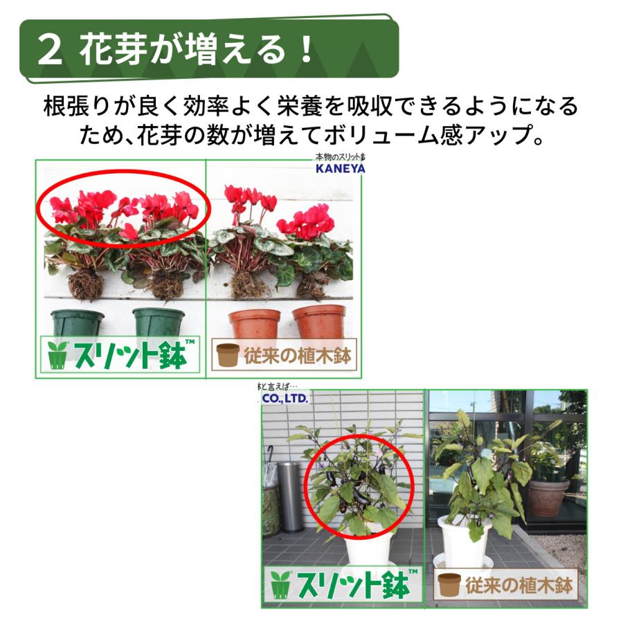 KANEYA スリット鉢 プランター モスグリーン 2個セット プラスチック