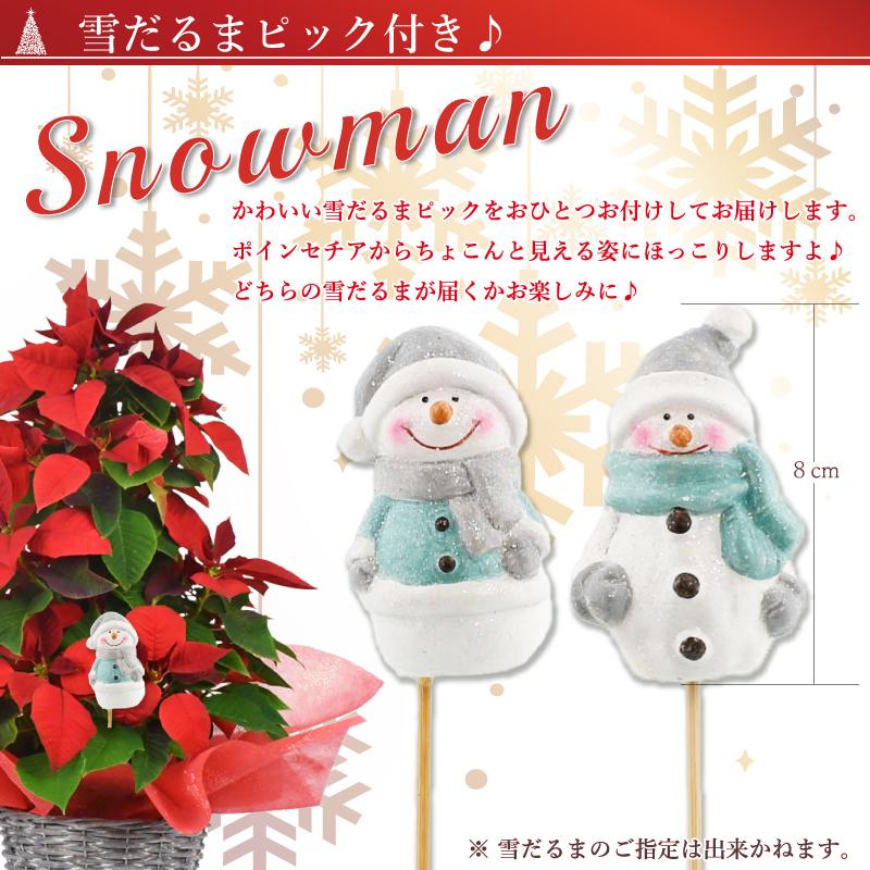 数量限定 ポインセチア クリスマスギフトノエル キャンドル仕立て 5号